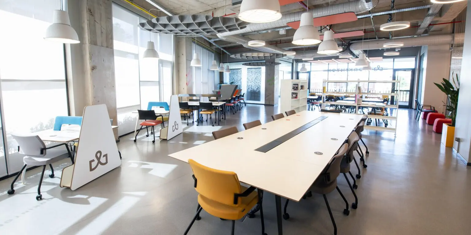 Workinton - Cadde 224